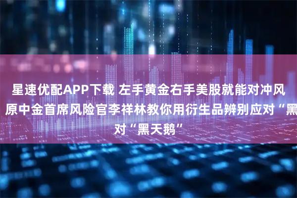 星速优配APP下载 左手黄金右手美股就能对冲风险吗？原中金首席风险官李祥林教你用衍生品辨别应对“黑天鹅”