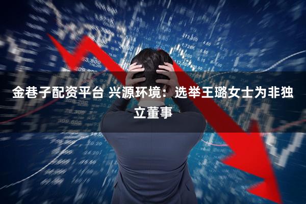 金巷子配资平台 兴源环境：选举王璐女士为非独立董事