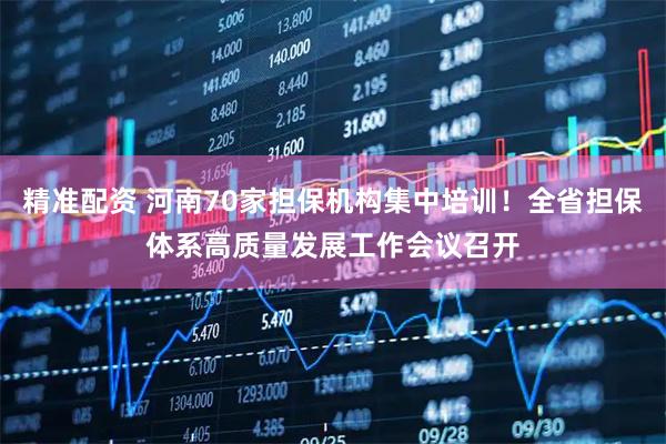 精准配资 河南70家担保机构集中培训！全省担保体系高质量发展工作会议召开