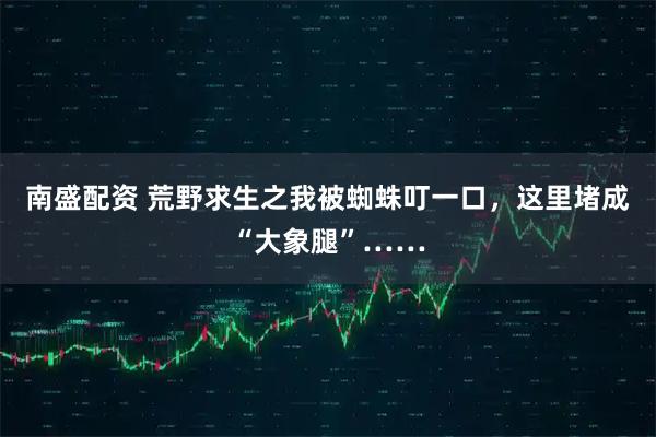 南盛配资 荒野求生之我被蜘蛛叮一口，这里堵成“大象腿”……