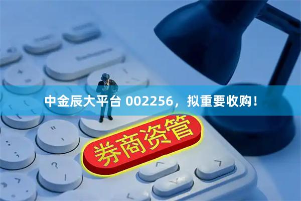 中金辰大平台 002256，拟重要收购！