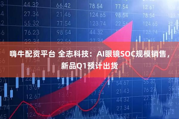 嗨牛配资平台 全志科技：AI眼镜SOC规模销售，新品Q1预计出货
